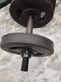 Gym Dumbbells And Plates