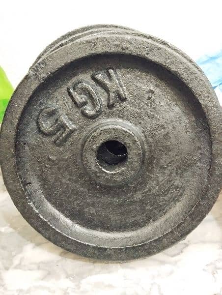 Gym Dumbbells And Plates 2