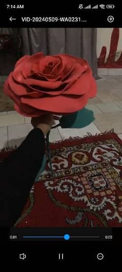 giant rose 0