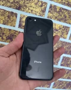 iphone 8 pta approved