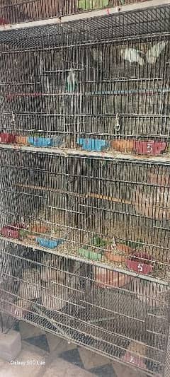 8 portion cages