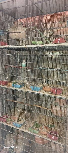 8 portion cages 1
