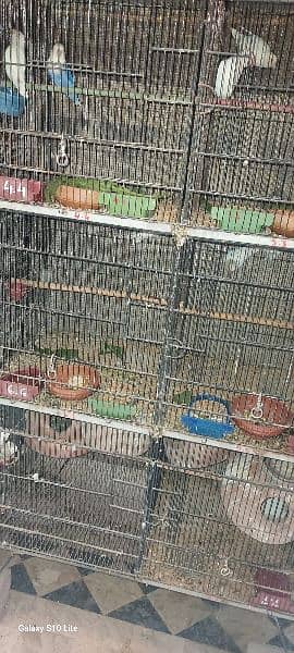 8 portion cages 2