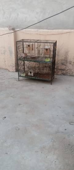 cage for parrots hen sparrows 0
