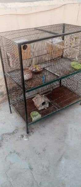 cage for parrots hen sparrows 2