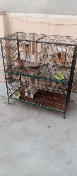 cage for parrots hen sparrows 4