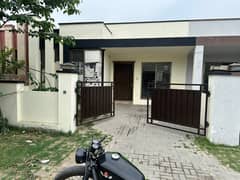 5 Marla House Available For Rent In Khayaban-e-Amin Block P 0