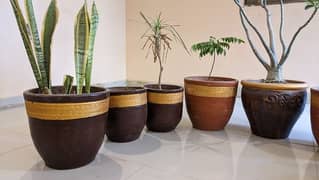 plant Pots ( Gamle )
