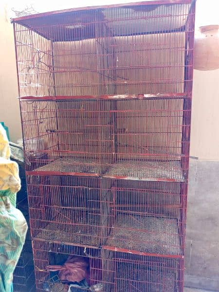 8 portion cage. . 10/7 condition 1