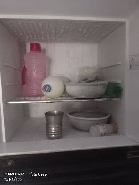 freezer 1
