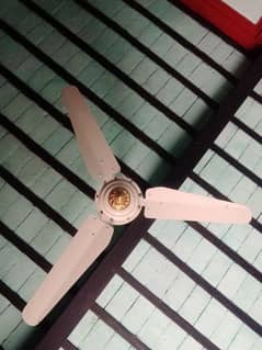 Used ceiling fan in good condition