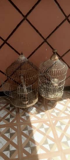 cages available for sale