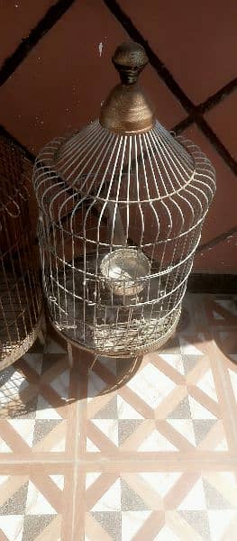 cages available for sale 2