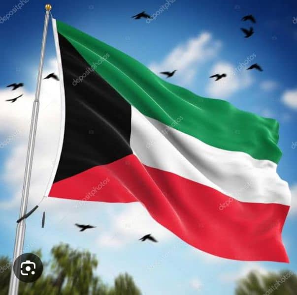 Kuwait ki Multinational Company ko Staff ki Need hai Urgently 1