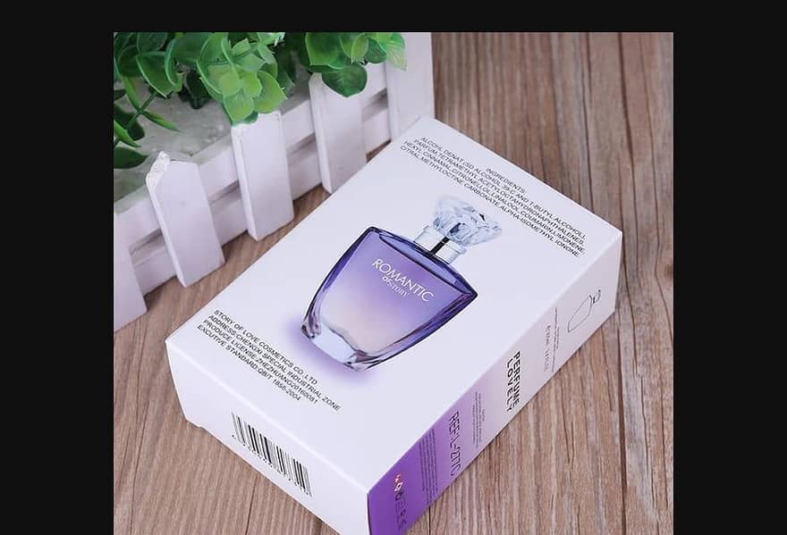 Perfume/ Fragrance / Unisex Long Lasting Fragrance Perfume 100ml 5