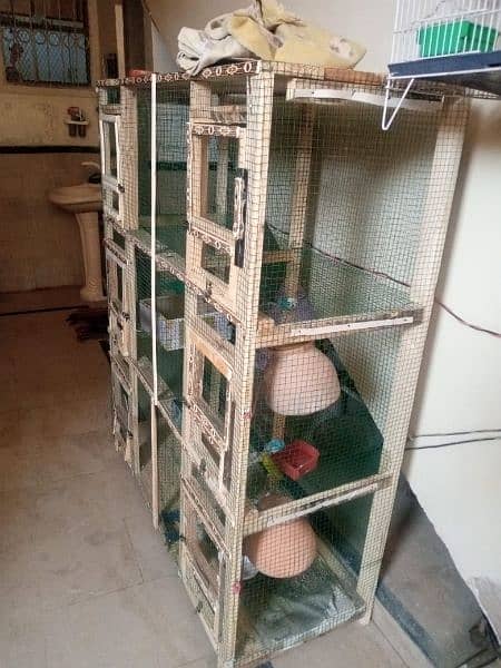 cage with Australian parrot 2
