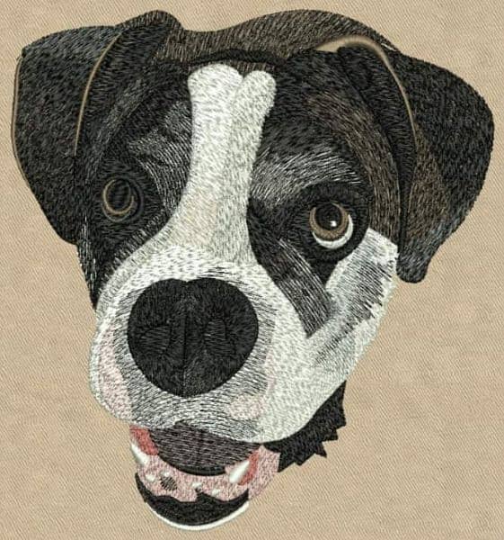 Embroidery Digitizer 7
