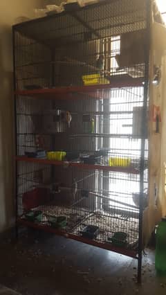 Bird Cage with strong frame