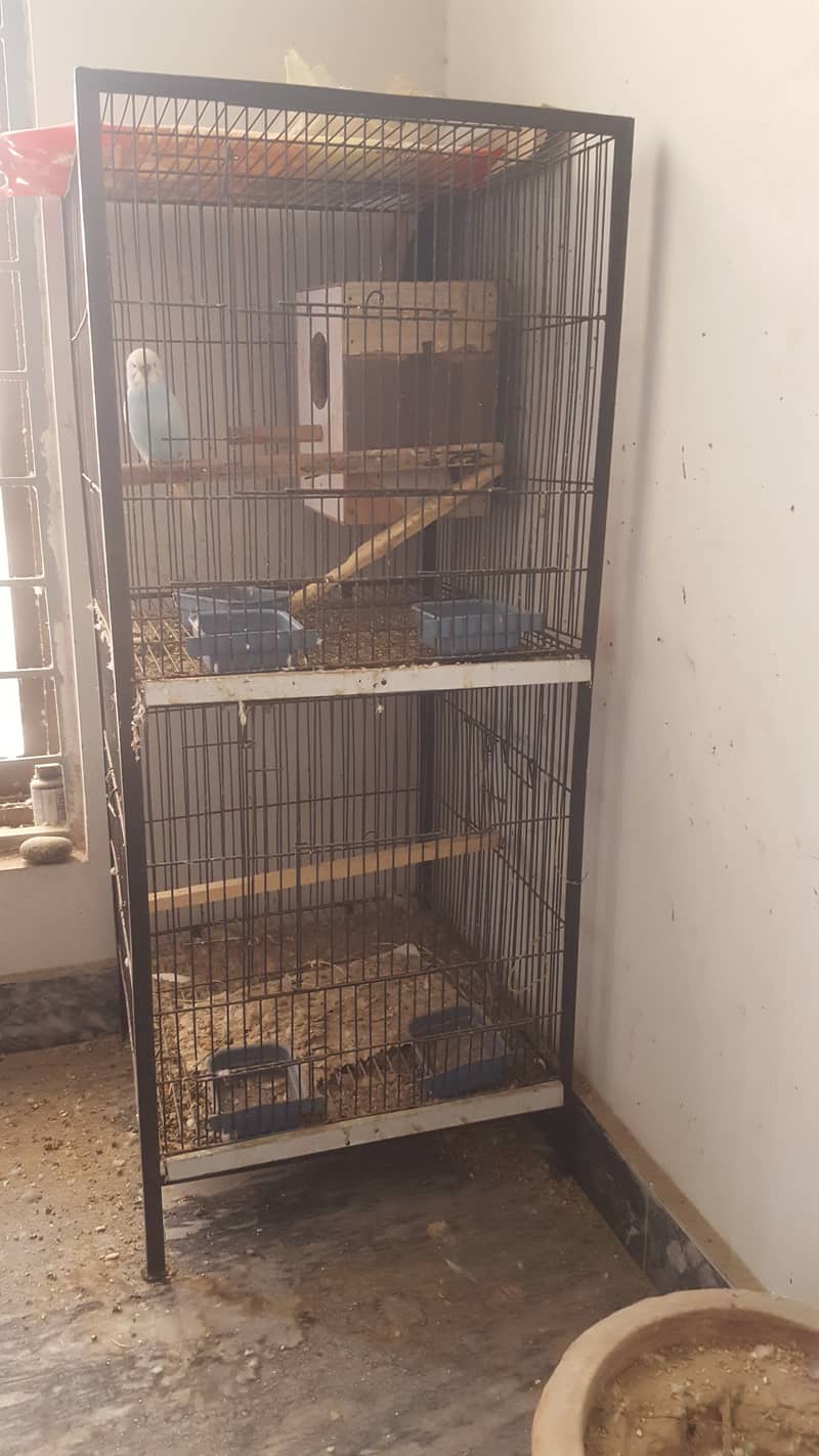 Bird Cages with strong frame 1