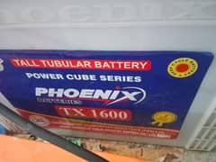 Battery Tall Tubler phoenix TX-1600