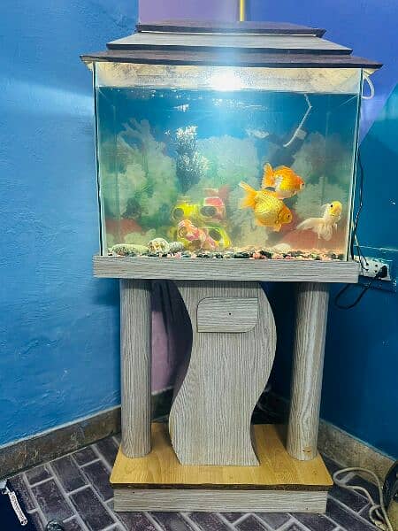 aquarium for sale 3
