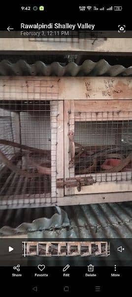 used wooden cage for sale 1
