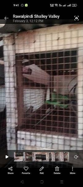 used wooden cage for sale 2