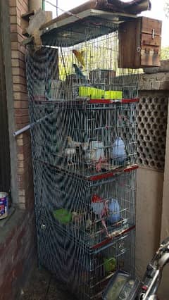 cage for sale 0