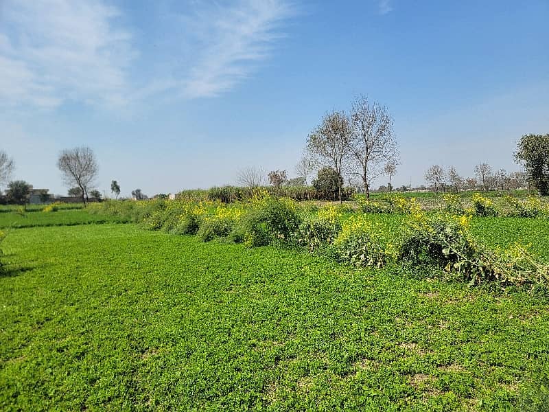 Agriculture Land For Sale 0
