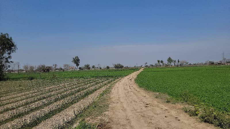Agriculture Land For Sale 5