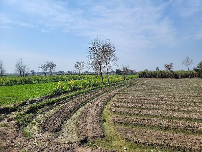 Agriculture Land For Sale 8