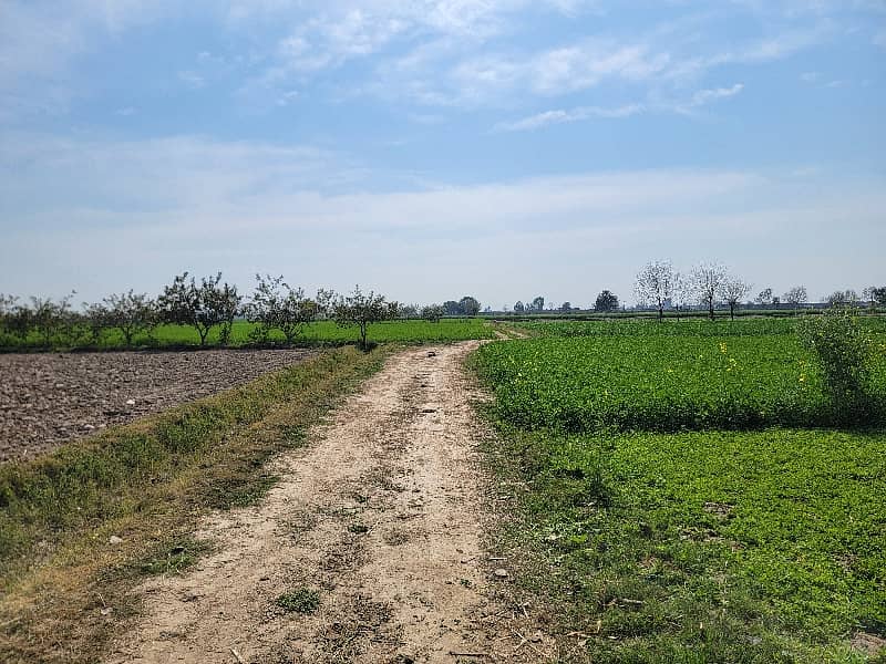 Agriculture Land For Sale 10