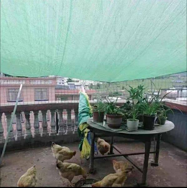 Labour tents/Green net jali/Plastic Korean tarpal/rain coat suits 7