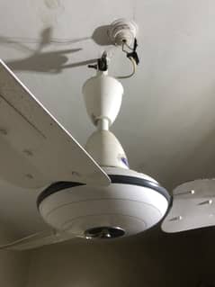 Ceiling Fan, PAK FAN, 56" slighty used