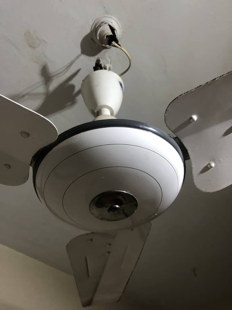 Ceiling Fan, PAK FAN, 56" slighty used 3