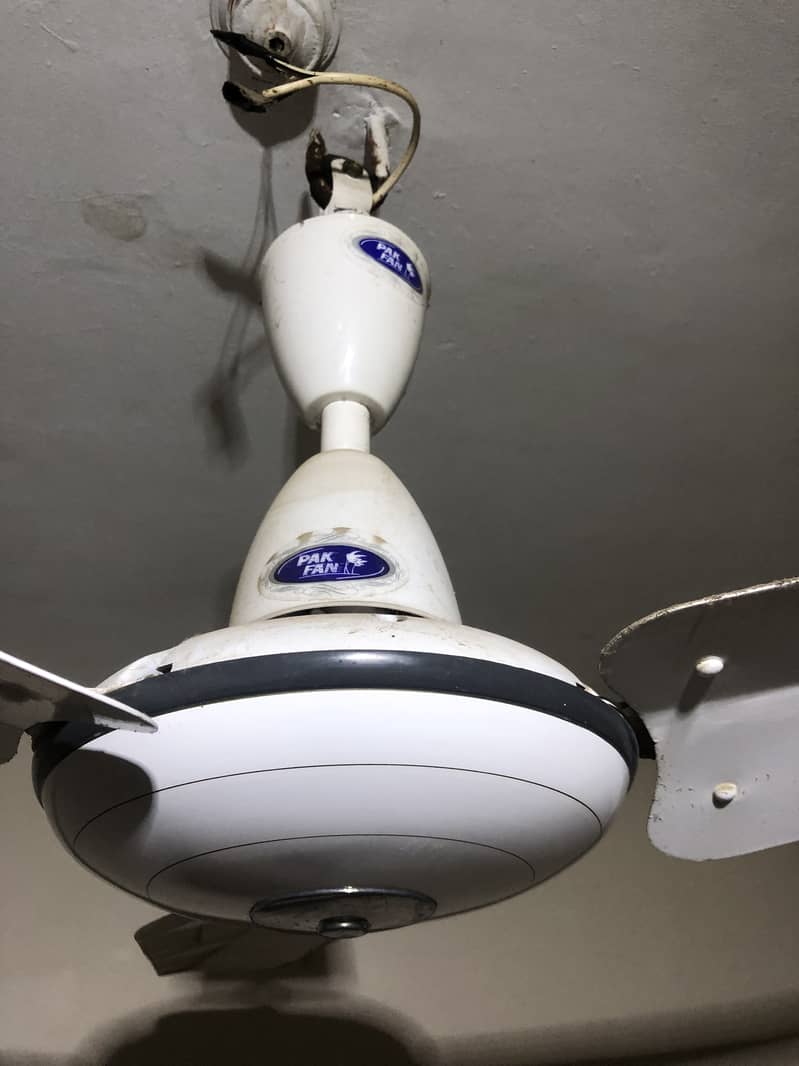 Ceiling Fan, PAK FAN, 56" slighty used 4