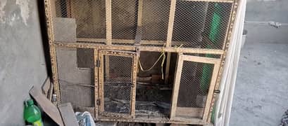 murghay cage