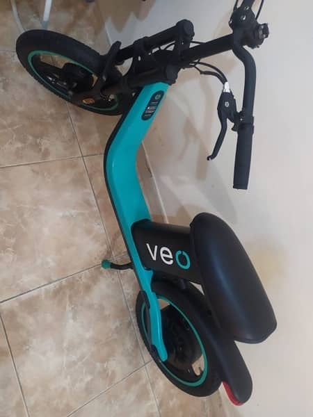 Veo Electric Bike 1