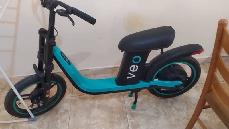 Veo Electric Bike 4