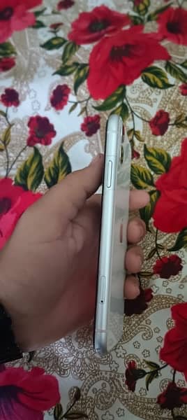 iphone 11 white color 1