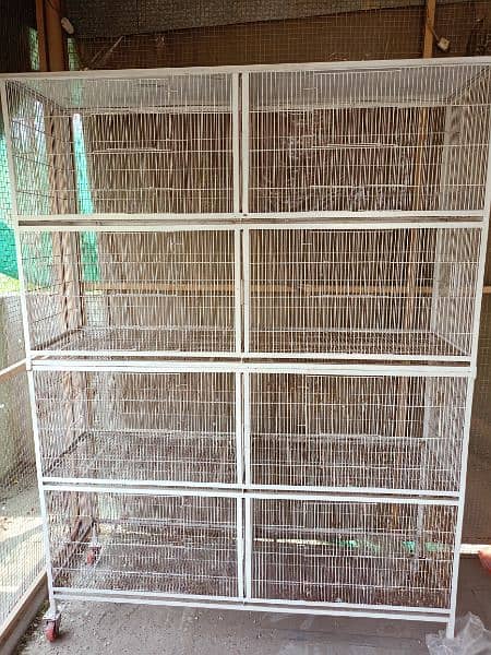 birds cages 1