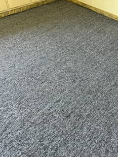 Dark Blue Carpet