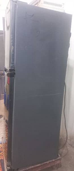 Orient Refrigerator (Medium size) 2