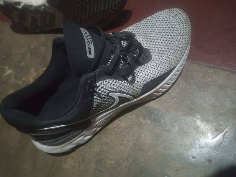 Nike Shoes 1