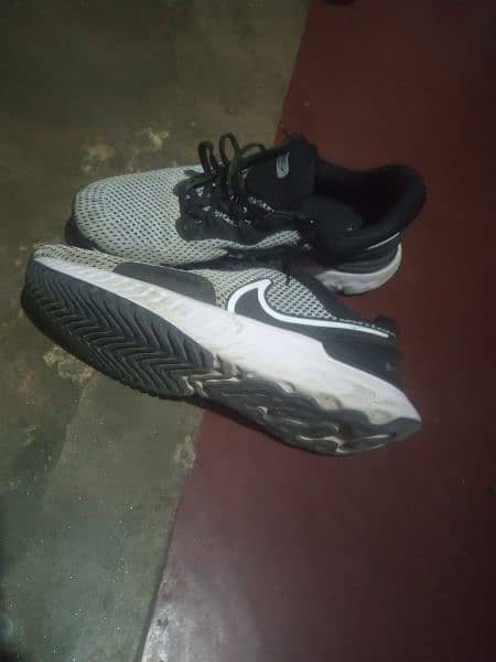 Nike Shoes 3