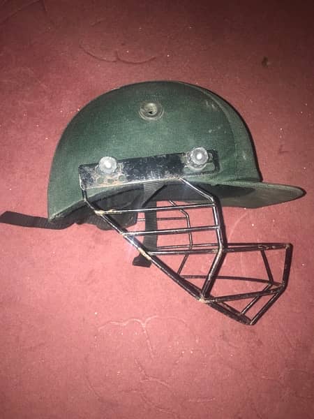 cricket helmet 2