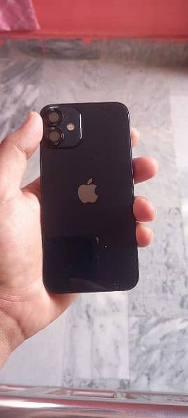 iPhone 12 mini 6