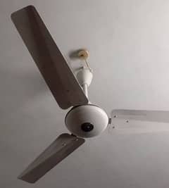 Used ceiling Fans