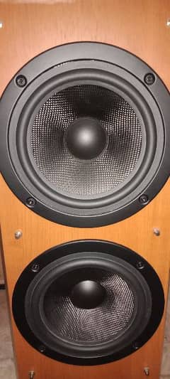 Cypress Active Subwoofer Dual 8 inches 0