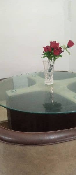 Circular Glass top dining table 3